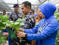 Danlanal Palembang Ikuti Ketahanan Pangan Serentak di Rumdis Arafuru