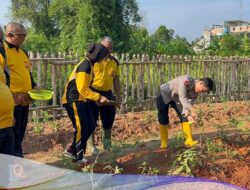 Kebun Ketahanan Pangan Satker Bidkum Polda Sumsel di Panen, Seluruh Hasil Dibagikan ke Masyarakat Sekitar