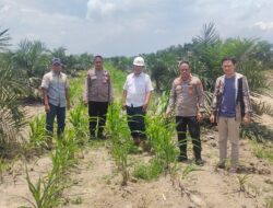 Diharapkan Dapat Tercipta Sinergi Antara Aparat Keamanan Dan Masyarakat Untuk Menjaga Stabilitas Pangan