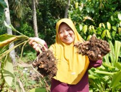 Rofiah Dan PNM  “Mewujudkan Semangat Kartini untuk Kemajuan Ekonomi Desa”