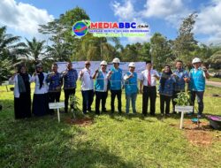 *PLN UPT Palembang dan DLH Banyuasin Tanam Harapan, Hijaukan Lingkungan*