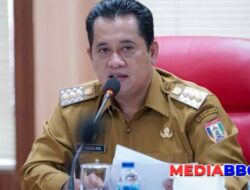 Pemkab Banyuasin Lanjutkan Pembangunan Jalan Poros Air Salek, Anggarkan Rp 5 Miliar di Tahap Awal