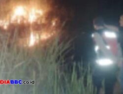Respons Cepat Polsek Gandus Padamkan Kebakaran Lahan Di Pulo kerto Dekat Permukiman Warga