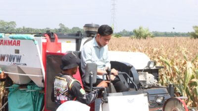 Kunjungan Wakil Presiden Gibran, Panen Jagung Dan Silaturahmi ke Ponpes Di Banyuasin, Situasi Aman Dan Kondusif