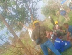 Diduga Dibocorkan, Pipa Medco Energi,Minyak Mentah Cemari Sawah Warga Pemulutan