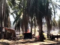 Musibah Berulang : Sumur Minyak Ilegal Di Muba Kembali Terbakar ! Penegakan Hukum Di Pertanyakan