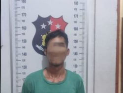 Polsek tanjung lago ! Ungkap kasus pencuri Sawit  Milik CV MSP Satu Orang Di Amankan 