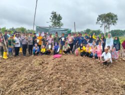 Perkuat Ketahanan Pangan! Pemdes Ngulak 2 tanam jagung