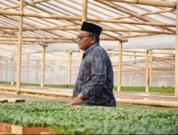 Kisah Sukses Nasabah ULaMM Syariah: Memberdayakan Usaha Mikro Dan Menciptakan Ekosistem Ekonomi Berkelanjutan Untuk Ketahanan Pangan