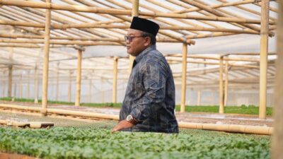 Kisah Sukses Nasabah ULaMM Syariah: Memberdayakan Usaha Mikro Dan Menciptakan Ekosistem Ekonomi Berkelanjutan Untuk Ketahanan Pangan