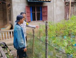 Dukung Swasembada Pangan Nasional, Bhabinkamtibmas Polsek Rantau Bayur Ajak Warga Tebing Abang Optimalkan Pekarangan Lewat Program P2B”