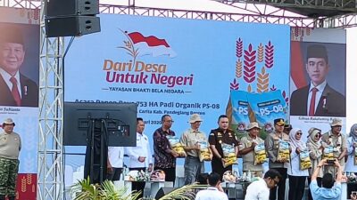 Yayasan Bakti Bela Negara “Gelar Panen Raya Padi PS-08 ” F-Jupnas Gisi Hadir Langsung Di Carita Banten
