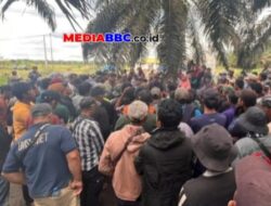 PHK Sepihak via WhatsApp, 355 Buruh di Banyuasin Didepak Tanpa Kejelasan Pesangon