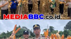 Kapolres Muratara Turun Tangan Pimpin Panen, 1 Ton Jagung dari Lahan Polres Diserap Bulog