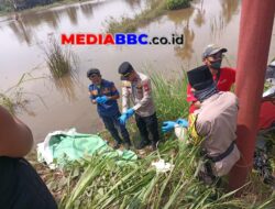 Mayat Pria Lansia Ditemukan Membusuk di Sawah Banyuasin, Sistem Perlindungan Warga Rentan Dipertanyakan