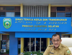 Drama Investigasi Nyawa Pekerja PTBA: Instruksi Sekda Sumsel ‘Mentah’ di Tangan Kabid Disnaker, Saling Lempar Bola Panas Jalur Komisi?