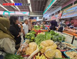 *Satgas Saber Pangan Pusat Sidak Pasar Lemabang Palembang, Stok dan Harga Pangan Terkendali*