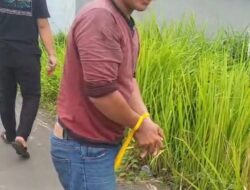 Anak 10 Tahun Jadi Korban Pencabulan di Palembang, Perkara Dilimpahkan ke Pengadilan