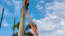 *Pasca Idul Fitri, PLN ULP Lubuklinggau Perkuat Keandalan Listrik Lewat Perbaikan Saluran Kabel Tegangan Menengah*