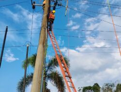 *Pasca Idul Fitri, PLN ULP Lubuklinggau Perkuat Keandalan Listrik Lewat Perbaikan Saluran Kabel Tegangan Menengah*