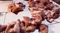 Ayam Mahal Pascalebaran, Program MBG Disorot: Rakyat Kecil Kalah Bersaing dengan Catering Pemerintah