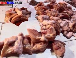 Ayam Mahal Pascalebaran, Program MBG Disorot: Rakyat Kecil Kalah Bersaing dengan Catering Pemerintah