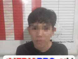 Ditreskrimum Polda Sumsel Ringkus Pelaku Curas Sajam di Ilir Barat I, Korban Sempat Terluka