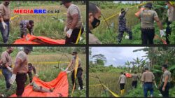 Mayat Perempuan Membusuk Ditemukan di Pinggir Sawah Banyuasin, Diduga ODGJ