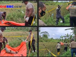 Mayat Perempuan Membusuk Ditemukan di Pinggir Sawah Banyuasin, Diduga ODGJ