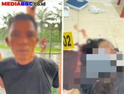 Pelaku Pembunuhan Sadis Staf Bawaslu OKU Selatan Ditangkap di Palembang, Polisi Dalami Motif dan Kronologi