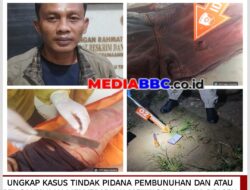Tim Gabungan Polsek Madang Suku I dan Satreskrim Polres OKU Timur Bekuk Tersangka Pembunuhan, Kabur ke OKU Selatan
