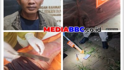 Tim Gabungan Polsek Madang Suku I dan Satreskrim Polres OKU Timur Bekuk Tersangka Pembunuhan, Kabur ke OKU Selatan
