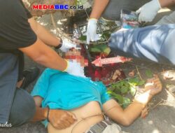 Polsek Ilir Barat I Tangani Musibah Pohon Tumbang yang Renggut Nyawa Pengendara