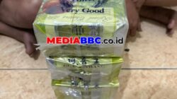 Polda Sumsel Gagalkan Penyelundupan 4,2 Kg Sabu di Lintas Sumatera, Dua Kurir Dibekuk