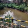 TERKAIT ISU ADANYA PENCEMARAN SUNGAI BERAU, SETELAH DI CEK TERNYATA SUNGAI BERAU TAMPAK BERSIH