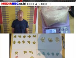 Perang Melawan Narkoba, Polda Sumsel Sita Ratusan Gram Sabu dan Ekstasi Berbagai Varian di OKI