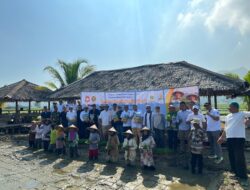Tanam 1.500 Hektare Padi PS 08 di Carita, Gerakan Kolaboratif Perkuat Ketahanan Pangan Nasional