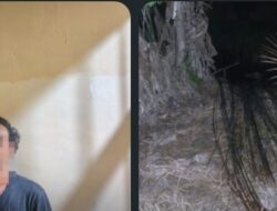 Polsek Tanjung Lago Bekuk Tiga Pelaku Pencurian 106 Batang Besi Pembangunan Koperasi