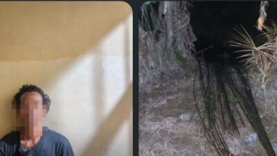 Polsek Tanjung Lago Bekuk Tiga Pelaku Pencurian 106 Batang Besi Pembangunan Koperasi