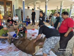 Masjid Ar-Rahmah Duta Mekar Asri Cileungsi Potong 10  Sapi dan 23 Kambing di Idul Adha 1447 H