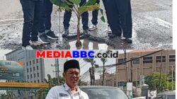 Aksi Tanam Pisang di Jalan Nasional Rusak, Garda Prabowo Sumsel: “Ini Simbol Negara yang Abai”