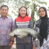 Upaya Pertamina Niaga Kilang Plaju ! Selamatkan Ikan Belida Dari kepunahan Dengan Program ” Belida Musi Lestari “