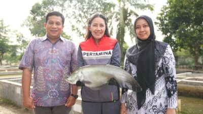 Upaya Pertamina Niaga Kilang Plaju ! Selamatkan Ikan Belida Dari kepunahan Dengan Program ” Belida Musi Lestari “