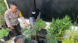 Bhabinkamtibmas Muara Telang Gerakkan Wujudkan Swasembada Pangan, Kapolres Banyuasin Terima Laporan Langsung