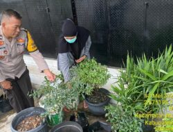 Bhabinkamtibmas Muara Telang Gerakkan Wujudkan Swasembada Pangan, Kapolres Banyuasin Terima Laporan Langsung