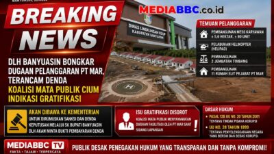 DLH Banyuasin Disorot: Dugaan Pelanggaran Lingkungan PT MAR Menguat, Isu Gratifikasi Ikut Mencuat