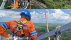 *Tanpa Padam, Tim PDKB PLN UPT Palembang Laksanakan Penggantian Isolator Flashover SUTET 275 kV*
