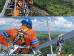 *Tanpa Padam, Tim PDKB PLN UPT Palembang Laksanakan Penggantian Isolator Flashover SUTET 275 kV*