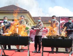 Polda Sumatera Selatan Musnakan 200 Kg Ganja Hasil Ungkap Ladang 20 Hektare Di Empat Lawang