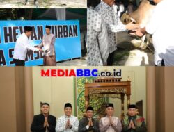 *Wujud Syukur Idul Adha 1477 H, Polda Sumsel Salurkan Ratusan Hewan Qurban hingga ke Pelosok*